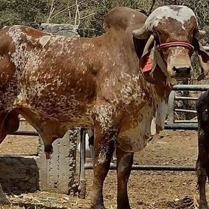 Meet your Posher, Miguel